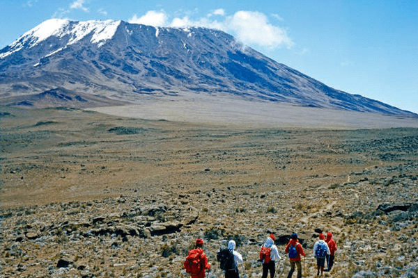 7 Day Kilimanjaro Trekking Machame Route
