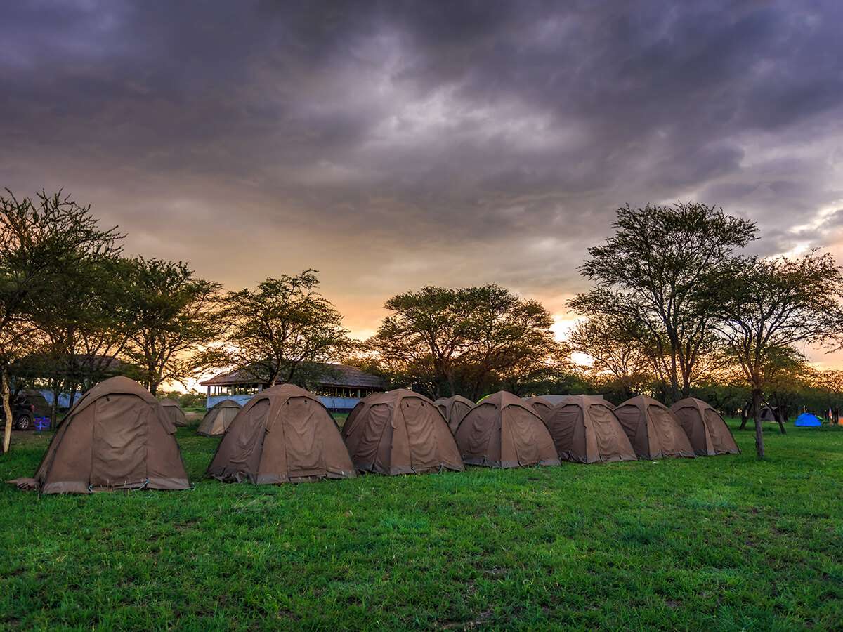 Budget Camping Safari Experience