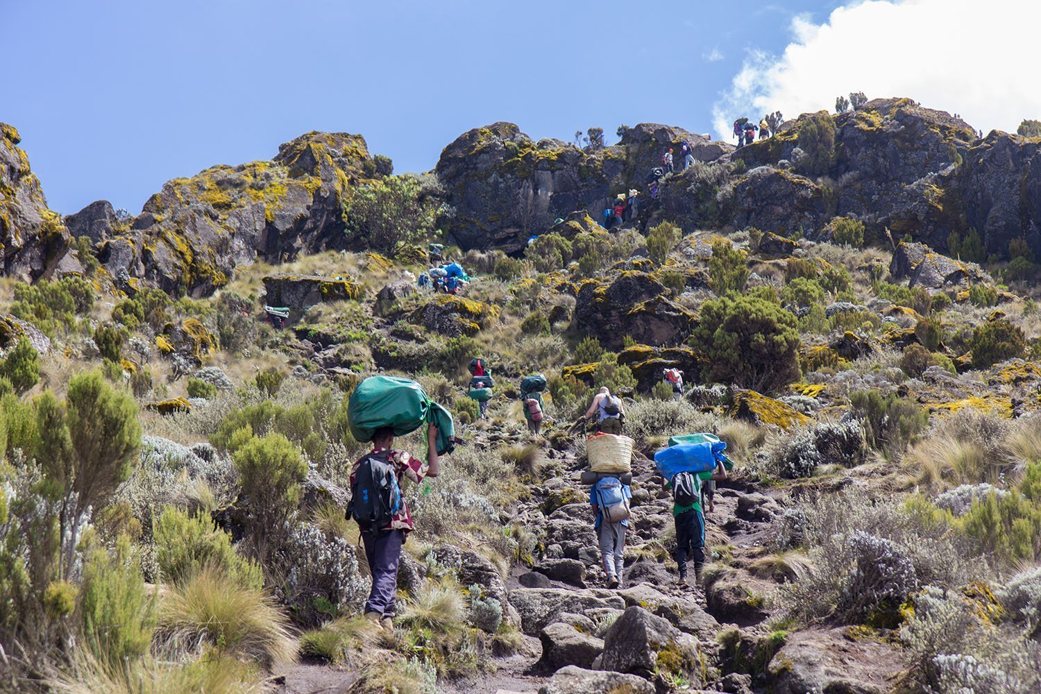 Kilimanjaro Climbing Packages  2026 - 2027