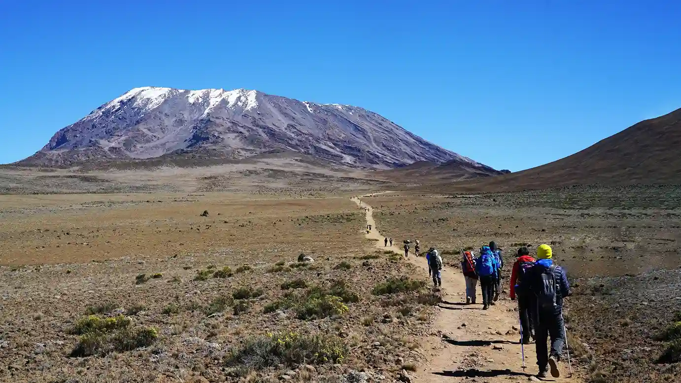 Kilimanjaro Lemosho Route Complete Guide
