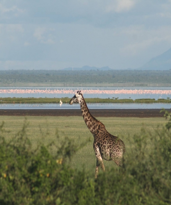 Lake Manyara