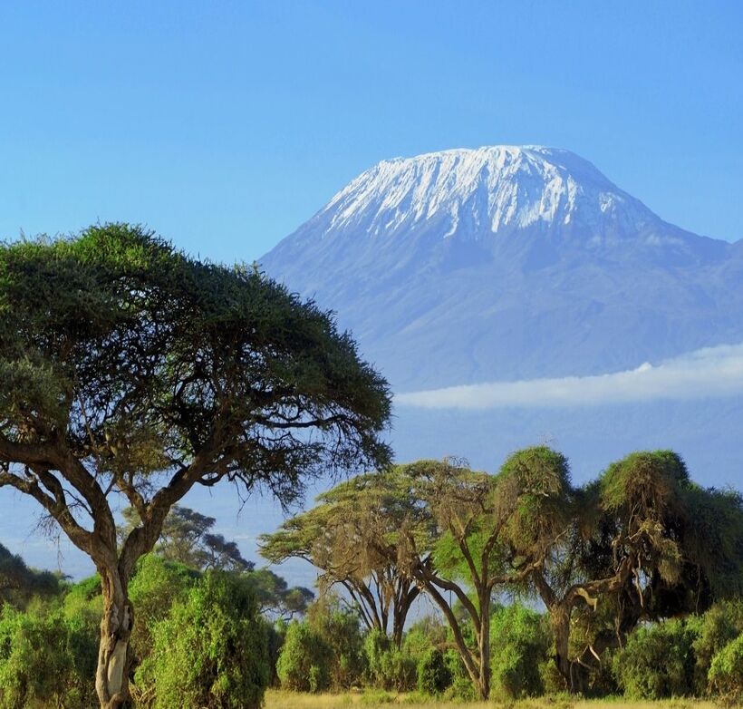 Serengeti Wild Tours