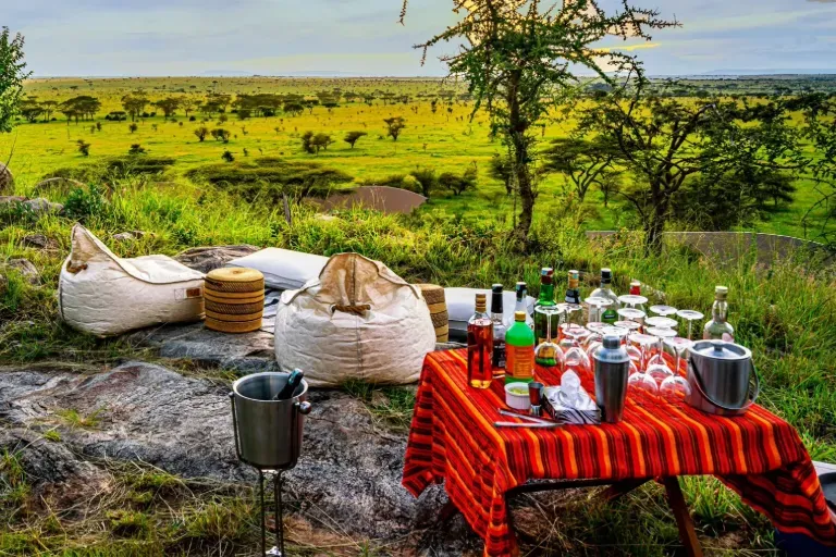 Tanzania Luxury Safari