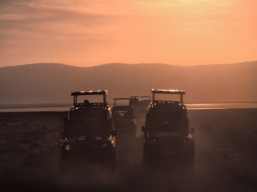 Game Drives