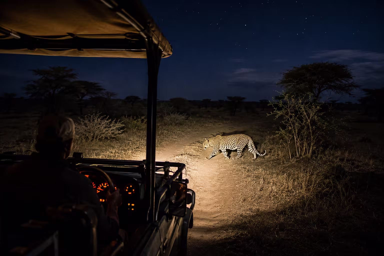 Night Game Drives