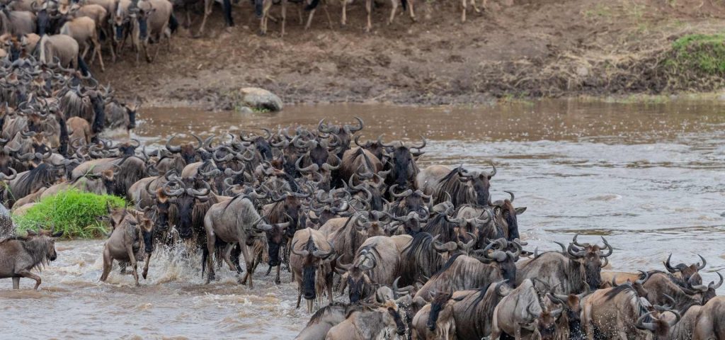 6 Days Northern Serengeti Migration Safari Tanzania