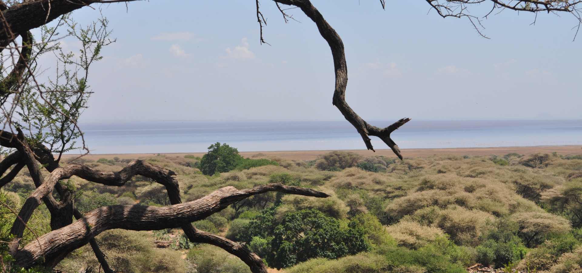 Day trips from Arusha and Moshi with Serengeti Wild Tours