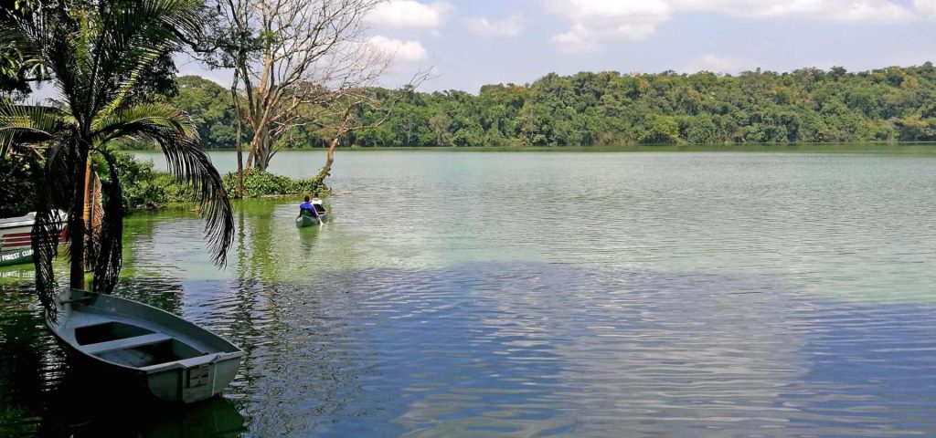 Lake Duluti Canoeing & Nature Walk Day Trip