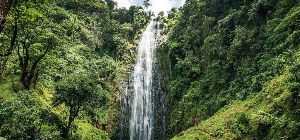 Materuni Waterfalls & Coffee Tour