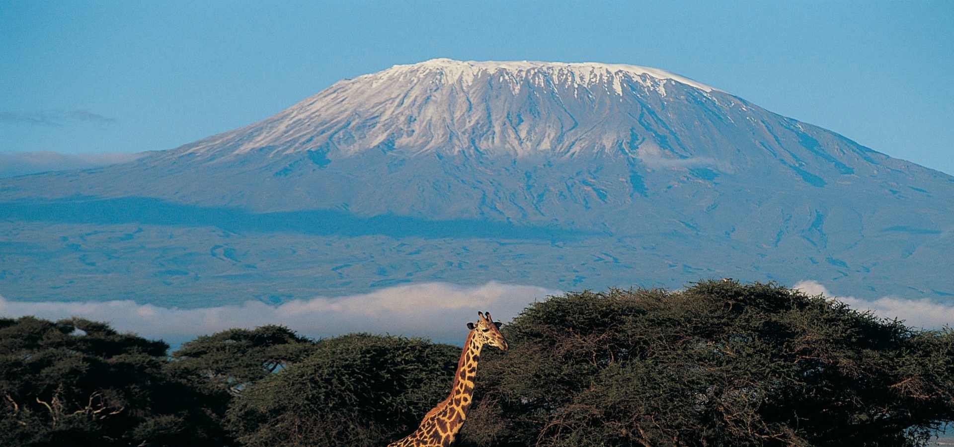 6 Days Marangu Route Kilimanjaro with Serengeti Wild Tours