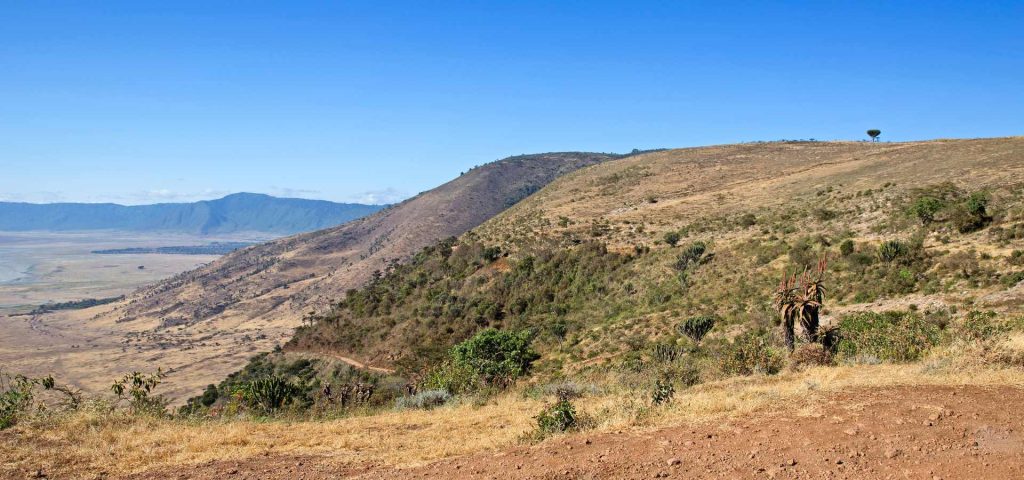 Ngorongoro Crater Day Trip