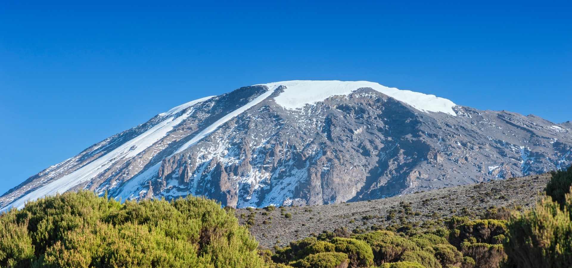 9 Days Northern Circuit Route Kilimanjaro with Serengeti Wild Tours