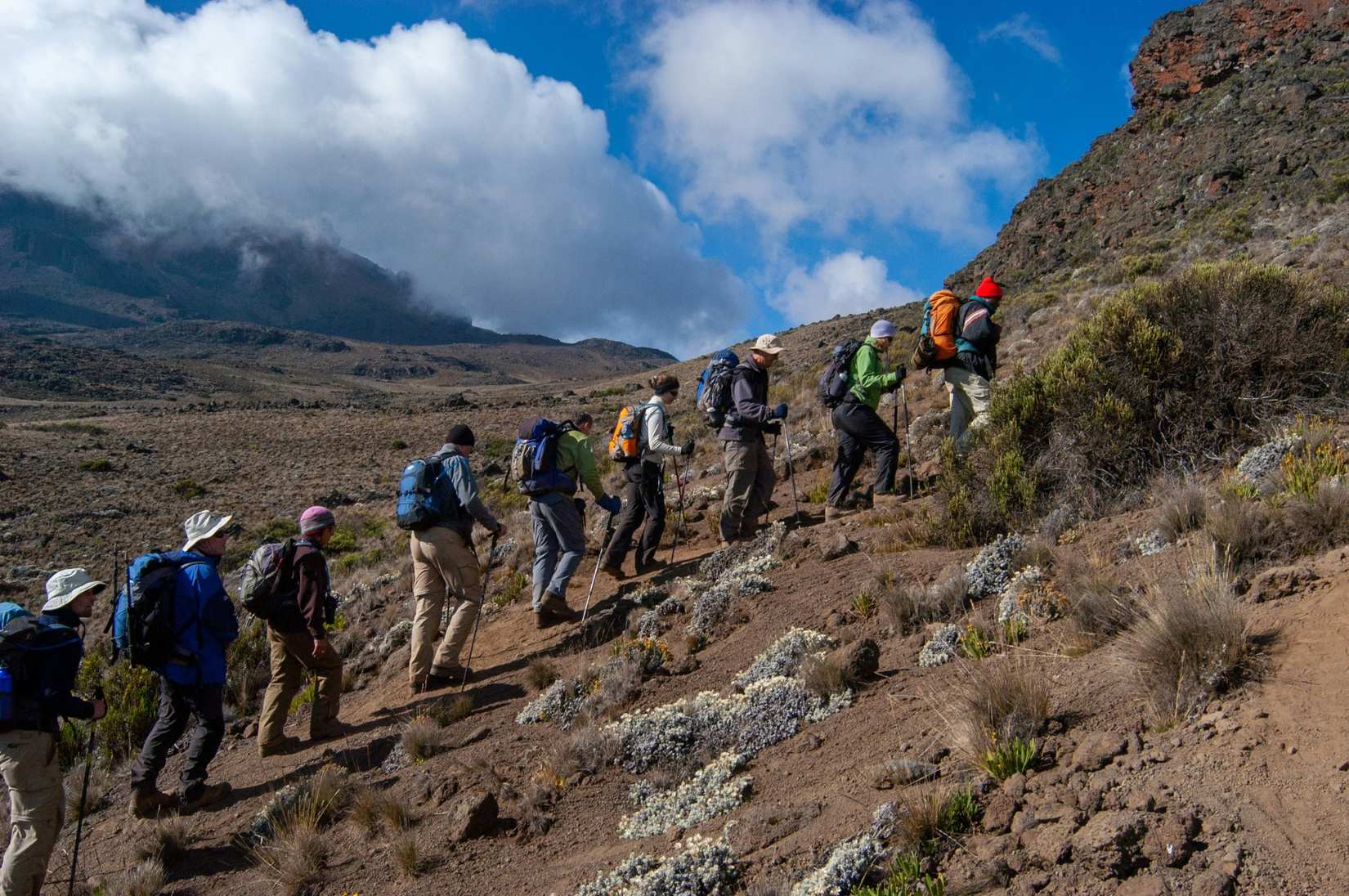 Hikers walking on a Kilimanjaro trail with local mountain guides
